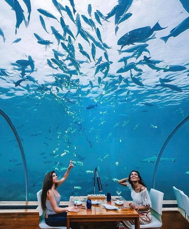 ▲馬爾地夫最新海底旅館。（圖／Conrad Maldives Rangali Island粉絲頁）