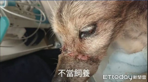 ▲▼             。（圖／記者陳凱力攝）