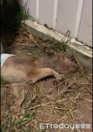 ▲▼             。（圖／記者陳凱力攝）