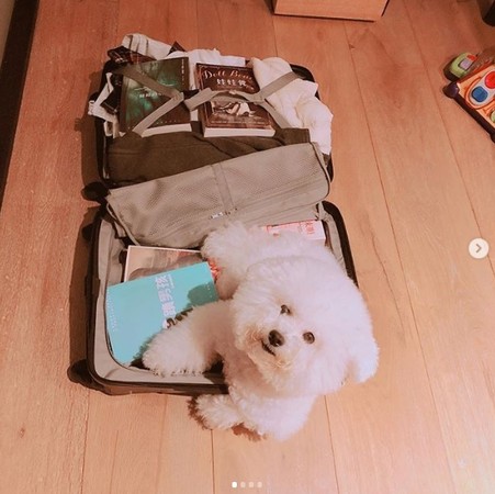 ▲▼梧桐妹要回上海了，行李一打開「藏亮點」。（圖／翻攝自梧桐妹Instagram）