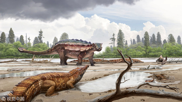 ▲▼美國猶他州大升梯國家紀念區（GSENM）發現一種新的裝甲恐龍，命名為Akainacephalus johnsoni，暫定新甲龍屬（Ankylosaurus）品種，身高約3.5英尺、長13英尺，是北美西部晚白堊世時期最古老的裝甲恐龍。（圖／視覺中國）