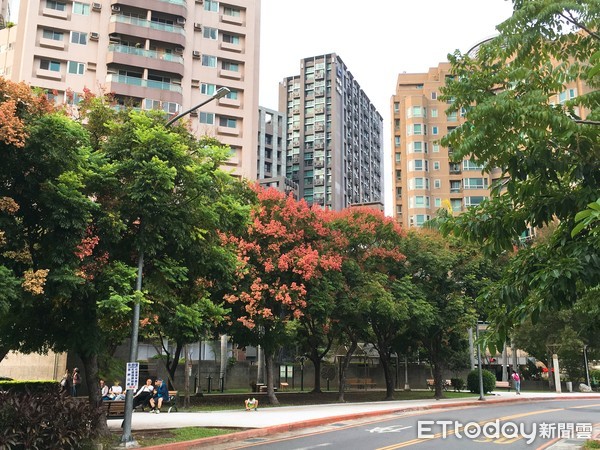 ▲▼天母永欣里是高級住宅區，生活氣氛悠閒。（圖／記者陳建竹攝）