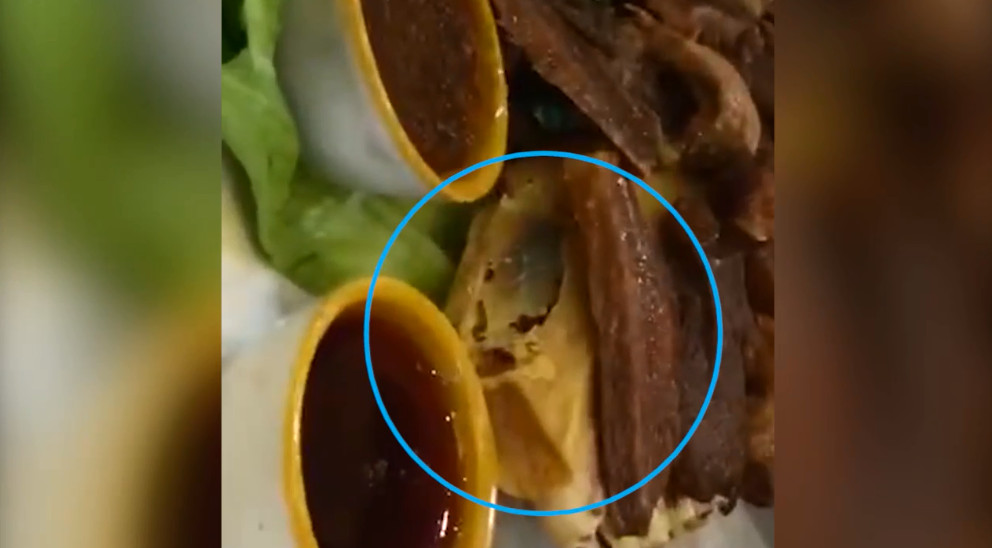 ▲▼重慶某餐廳的牛骨菜菜品有蟑螂亂竄。（圖／翻攝自澎湃新聞）