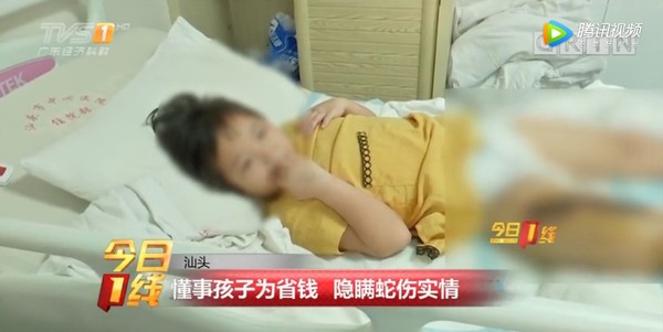 被眼鏡蛇咬傷卻善意隱瞞　6歲女毒發：幫爸爸省醫藥費。（圖／翻攝自大陸騰訊視頻）