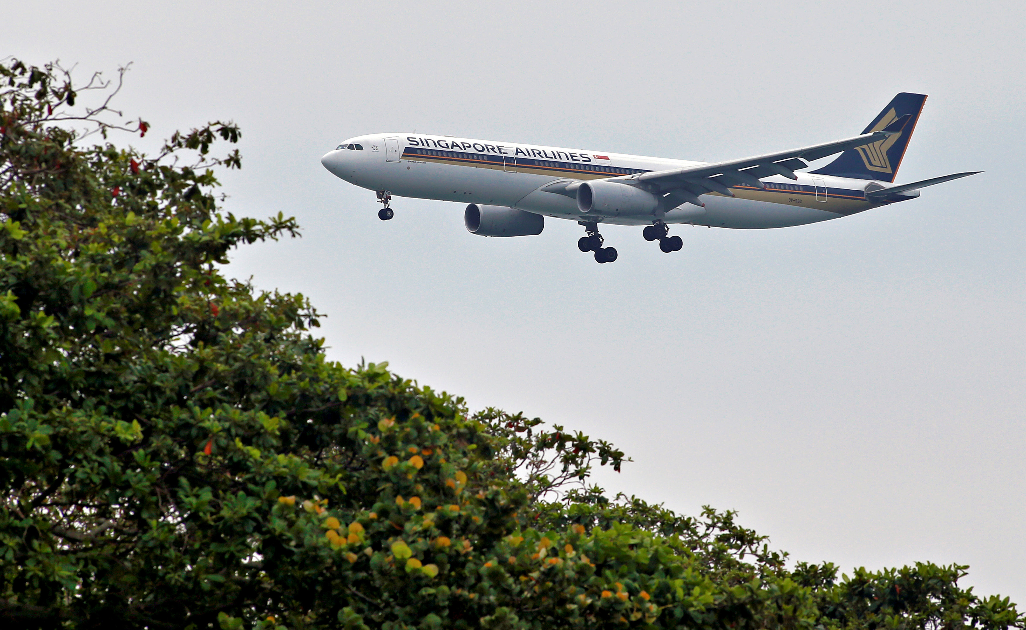 ▲▼由新加坡航空運行的全球飛行時間最長航班。（圖／路透社）