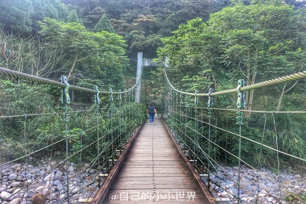 ▲大坑登山趣。（圖／自己的小小世界提供）