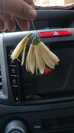▲網友在台中路邊買了一串4朵的玉蘭花，竟要價90元。（圖／翻攝自爆怨公社）