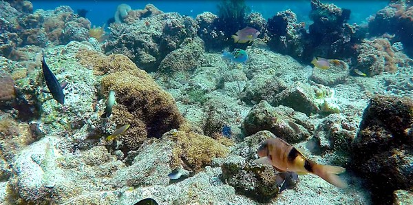 ▲探索越南秘境富國島 海洋、漁村風光、奢華旅宿一次擁有▼             。（圖／品冠旅遊提供）