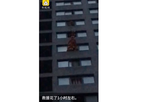 ▲▼女子坐15樓窗口鬧自殺，消防員高空垂降「神來一腳」踹回屋內。（圖／翻攝自梨視頻）