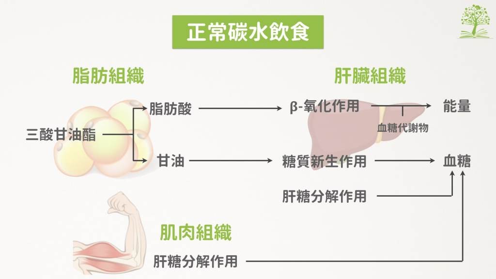 生酮飲食讓人又愛又怕的減肥飲食法。（圖／好食課提供）