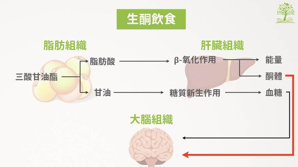 生酮飲食讓人又愛又怕的減肥飲食法。（圖／好食課提供）