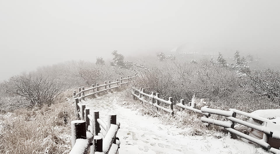 ▲▼ 南韓雪嶽山於18日上午降下初雪。（圖／雪嶽山國家公園辦公室）