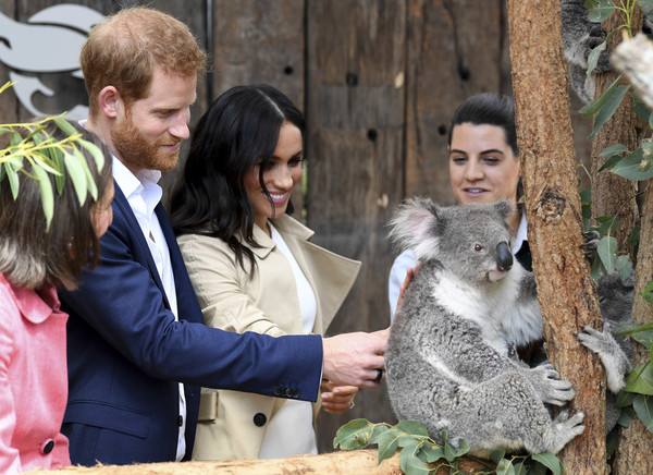 ▲▼ 英國哈利王子與妻子梅根拜訪澳洲。（圖／達志影像／美聯社）