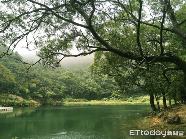 ▲▼下雨過後的夢湖，唯美浪漫。（圖／記者陳建竹攝）