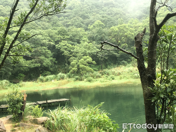 ▲▼夢湖某些區域仍屬保育狀態。（圖／記者陳建竹攝）