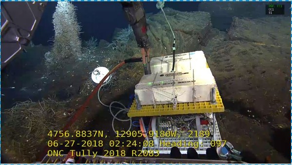 ▲▼觀測儀器在海底聯網運行。（圖／翻攝自大陸深海所）