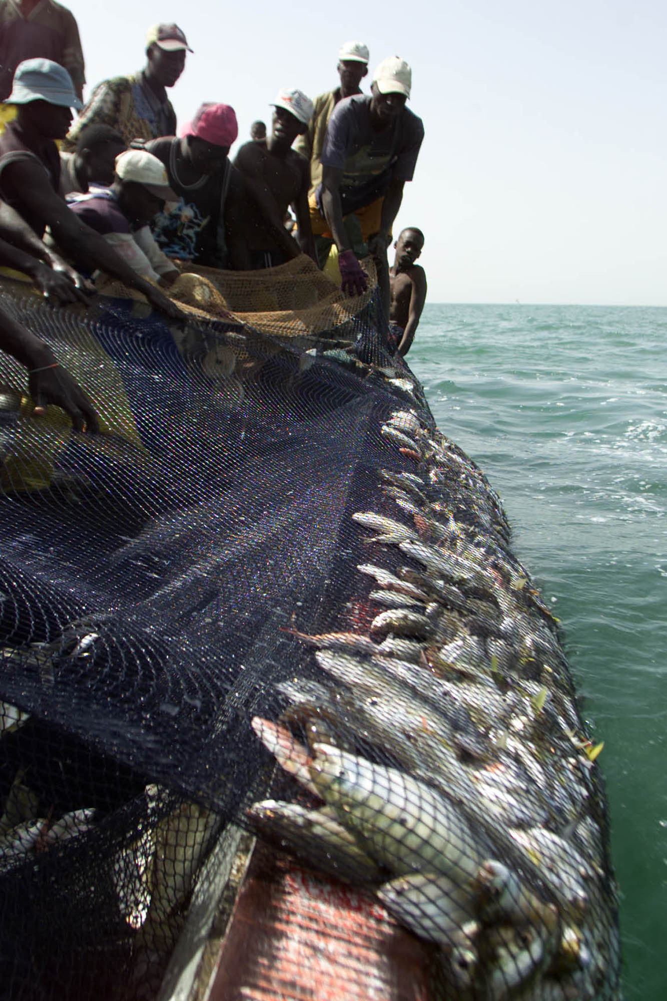▲▼塞內加爾面臨過度捕撈危機。（圖／達志影像／美聯社）
