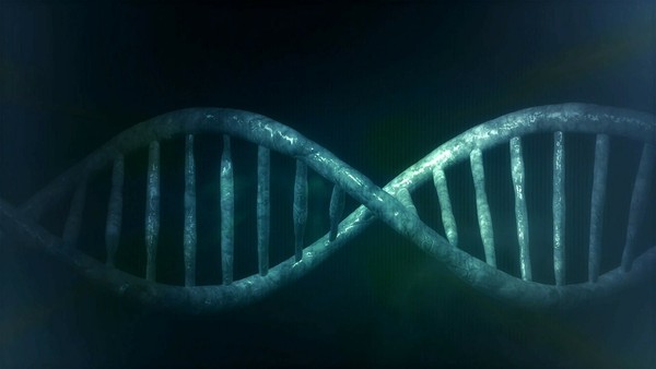 ▲德國研究發現，基因可能影響人們46%的拖延行為。（圖／pixabay）