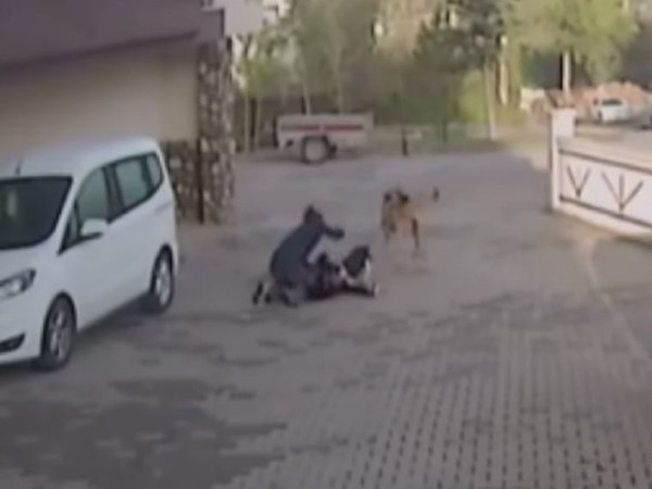▲▼土耳其8歲女童遭比特犬攻擊。（圖／翻攝自Youtube帳號「haber magazin」）