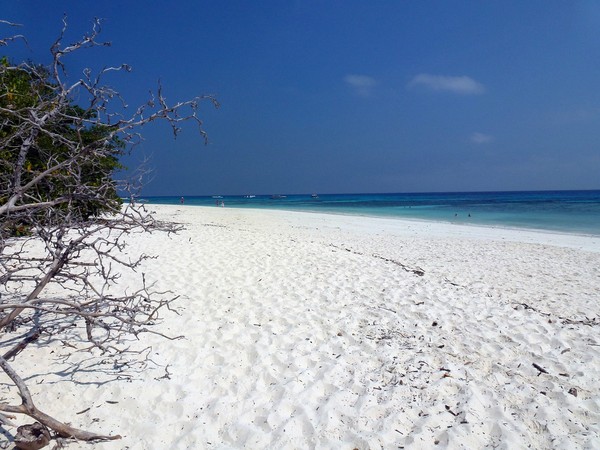 ▲▼泰國西密蘭群島,達猜島。（圖／達志影像／美聯社）