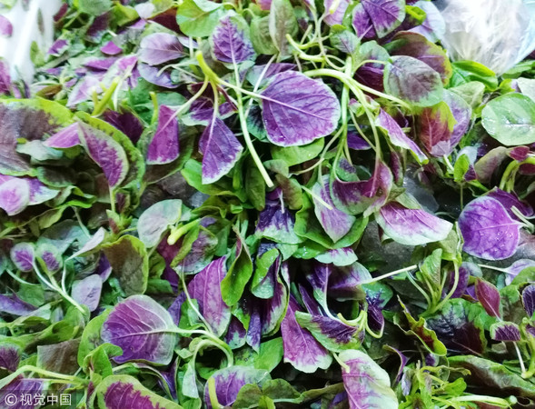 ▲▼红苋菜,紅莧菜,鐵質,蔬菜。（圖／視覺中國CFP）