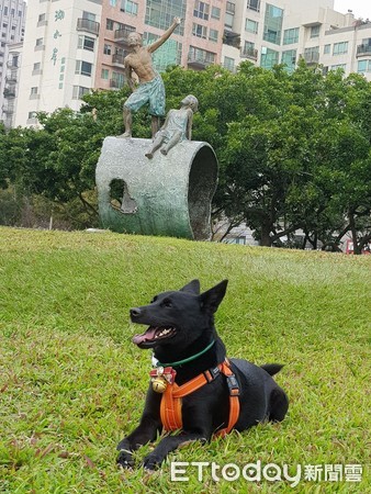 阿公阿嬤摸不到黑金孫...媽揭真相。（圖／飼主李小踢提供，請勿隨意翻拍，以免侵權。）