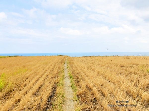 ▲▼ 花蓮海線風景。（圖／雨立今=霠提供提供）