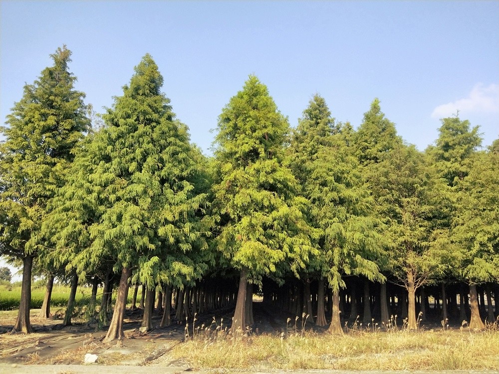 ▲探索台南六甲自然秘境　森林、湖泊、山谷一次滿足。（圖／不犀利人妻提供）