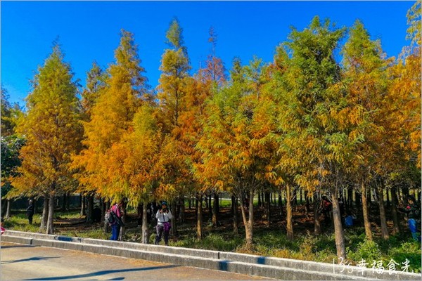 ▲買「羅李亮冰」逛蓮花田！ 林鳳營景點美食一日遊這樣玩。（圖／13`s幸福時光提供）