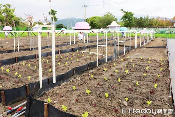 ▲▼全國第一座兼具科技發展性、田園體驗性，與手栽趣味性的市民遠距雲端農園，宜蘭市智慧農園開園了。（圖／記者游芳男翻攝，下同）