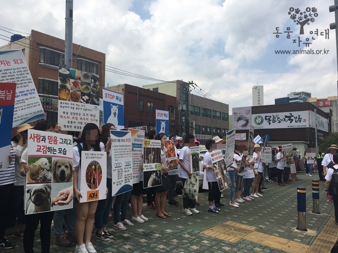 ▲▼釜山龜浦家畜市場抗議販賣狗肉（圖／翻攝自Naver Blog）