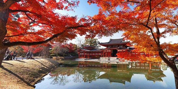 ▲賞紅葉的好去處─宇治平等院。（圖／翔笙旅行社提供）