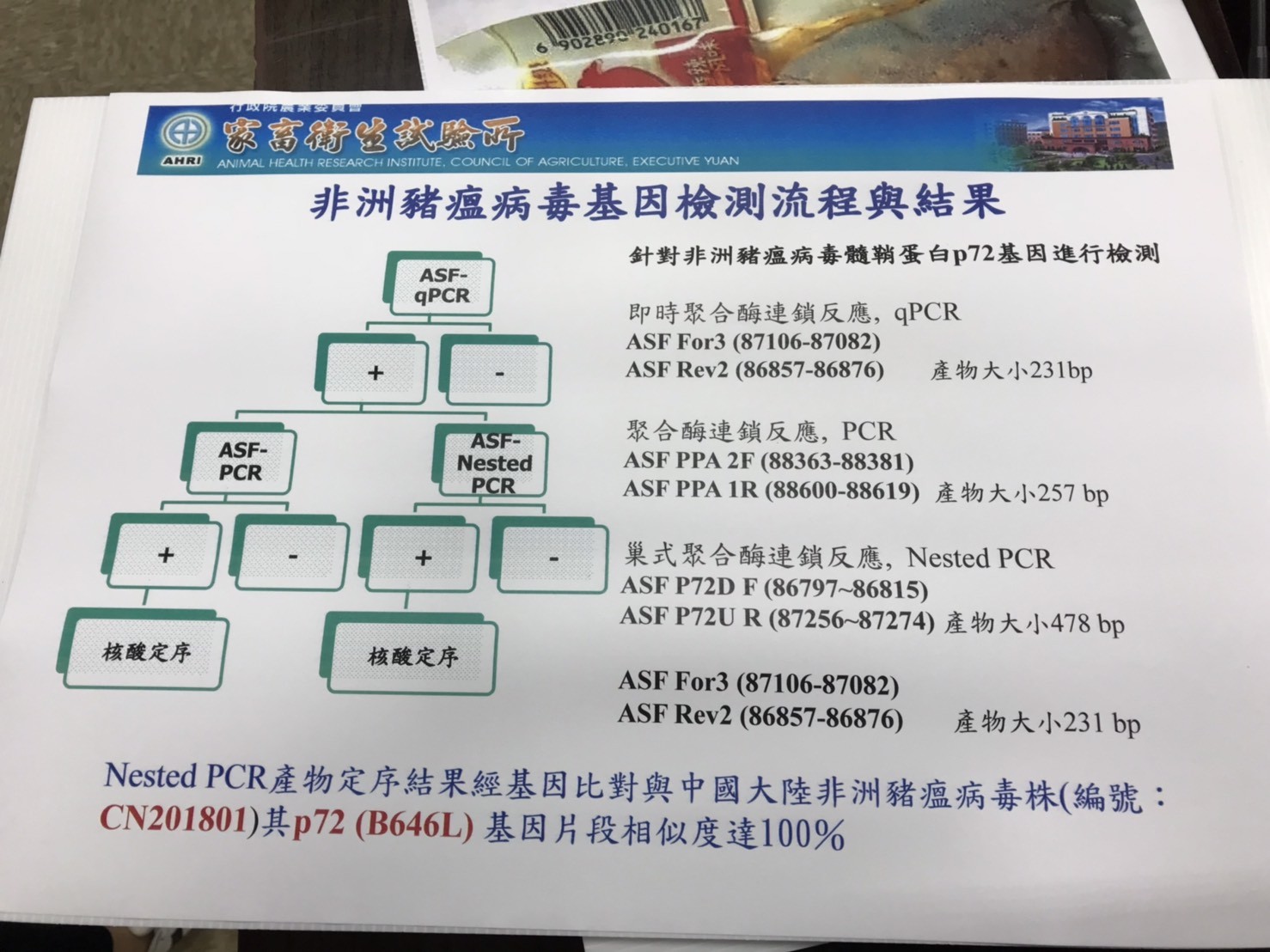 ▲▼農委會  豬。（圖／記者許展溢攝）