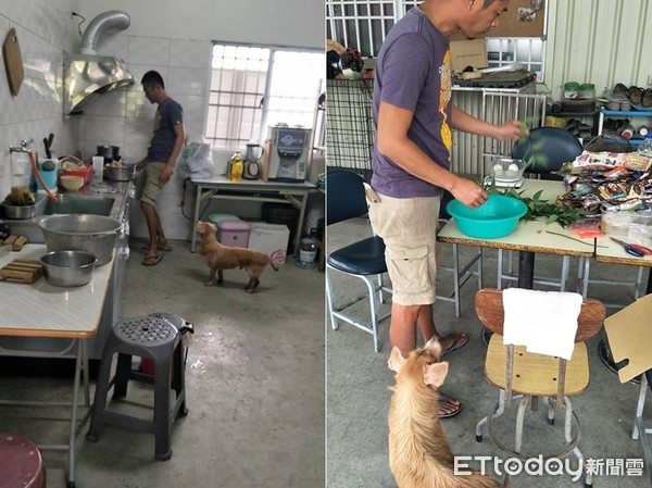 舌頭潰爛竟被餵骨肉 有主老癌犬 雨中翻垃圾找食物 Ettoday寵物雲 Ettoday新聞雲