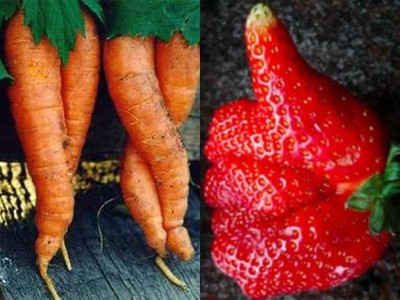 媽媽們別再「以貌取果」！蘿蔔長兩條腿就銷毀　每年浪費13億噸蔬果