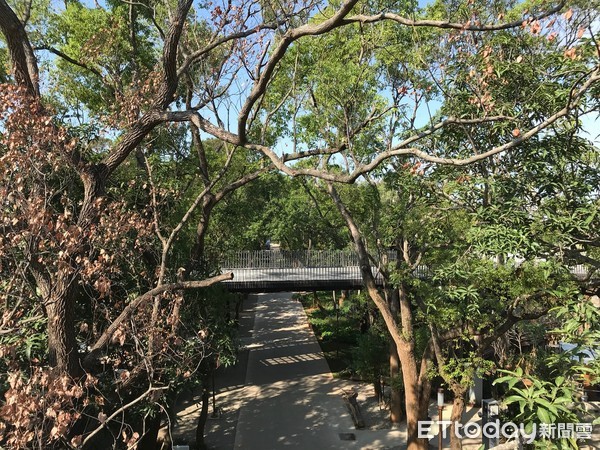 ▲台中花博后里森林園區。（圖／記者陳玉攝）