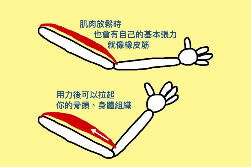 ▲▼ 。（圖／好痛痛提供）