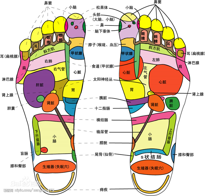 日本医生大推「脚底板贴胶布」减肥 2个月瘦10公斤