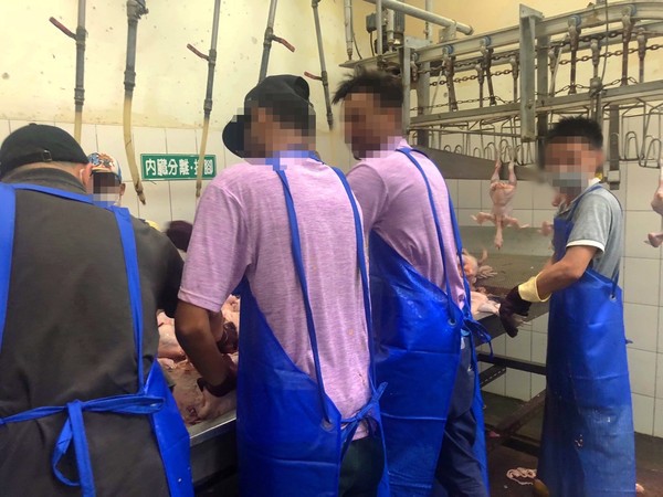 ▲斯里蘭卡學生來台灣打工去屠宰場。（圖／全國私立學校產業工會提供）