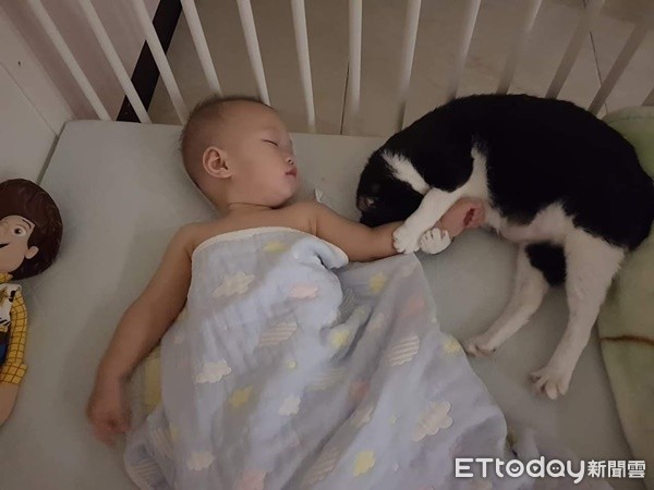 ▲▼萌娃自帶「汪磁鐵」沿路吸狗　跌倒6汪秒圍一圈狂舔秀秀。（圖／網友黃姿榕提供，請勿隨意翻拍，以免侵權。）