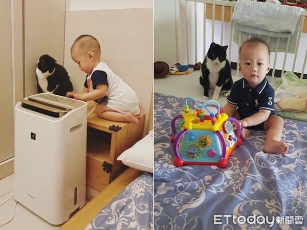 ▲▼萌娃自帶「汪磁鐵」沿路吸狗　跌倒6汪秒圍一圈狂舔秀秀。（圖／網友黃姿榕提供，請勿隨意翻拍，以免侵權。）