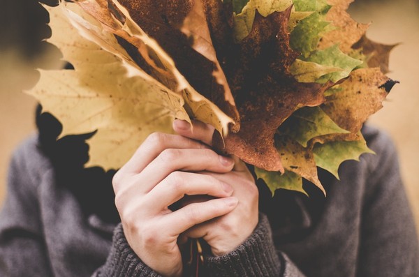 秋天,冷,楓葉(圖／pixabay)