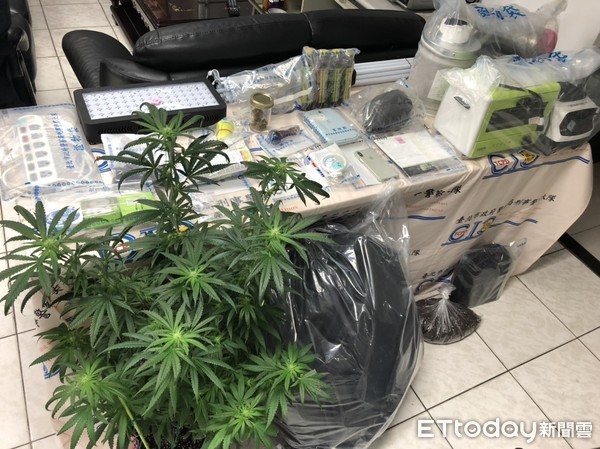 ▲▼警方將涉嫌種植大麻的汲男以及余姓女友人送辦。（圖／記者邱中岳翻攝）