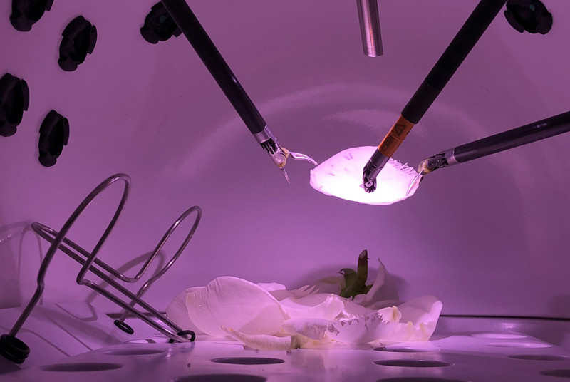 ▲▼達芬奇手術系統的手術器械頭在演示切割花瓣。（圖／翻攝自新華社）