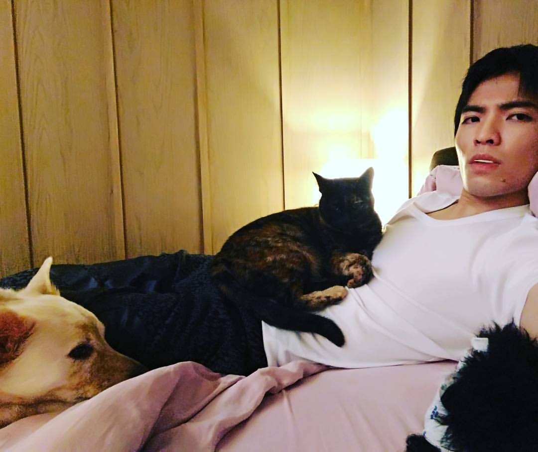 ▲蕭敬騰領養了10隻貓狗。（圖／翻攝自Facebook／蕭敬騰）