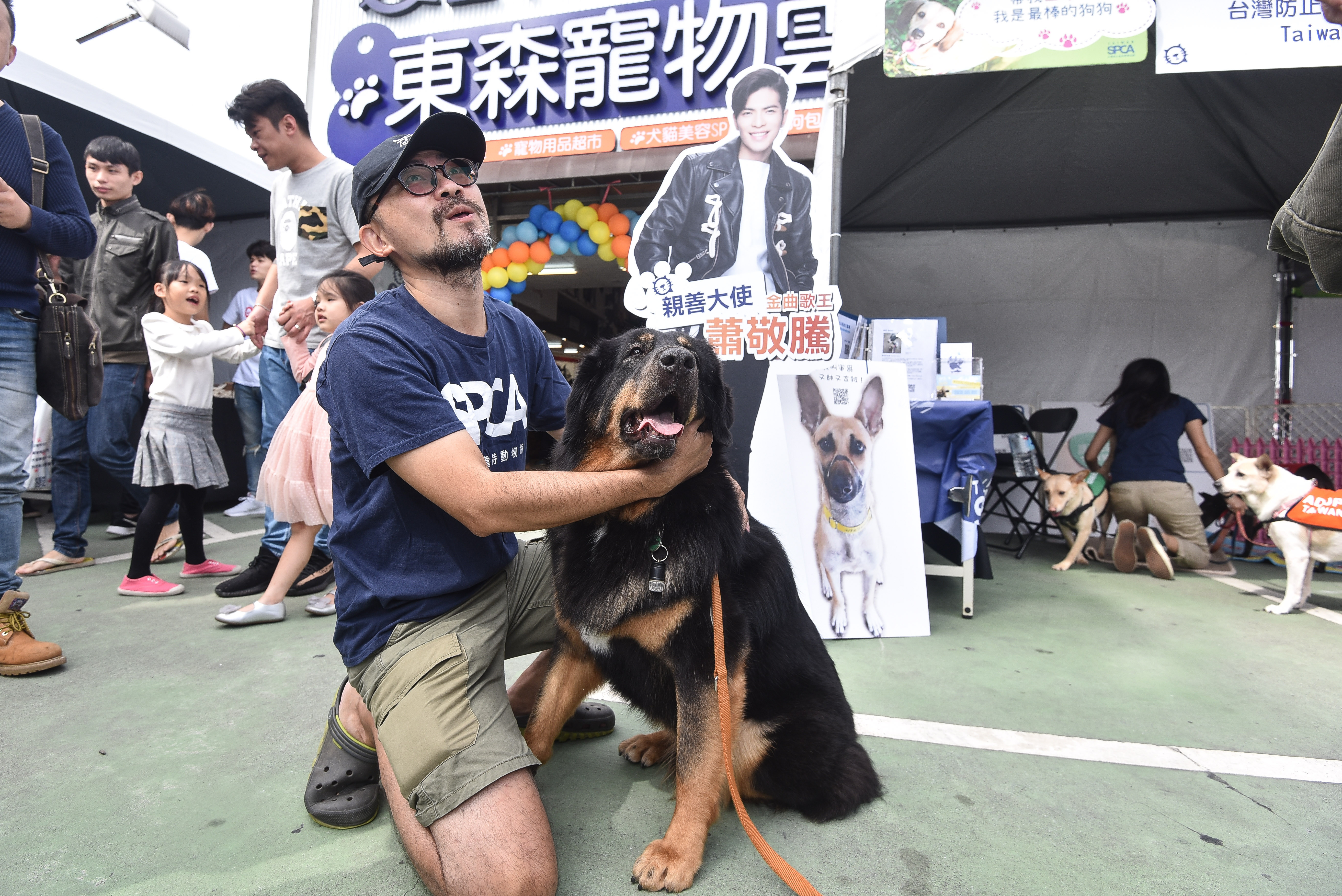 ▲▼東森寵物雲商店開幕公益記者會,領養會,寵物認養,毛小孩,毛孩,浪浪。（圖／記者李毓康攝）