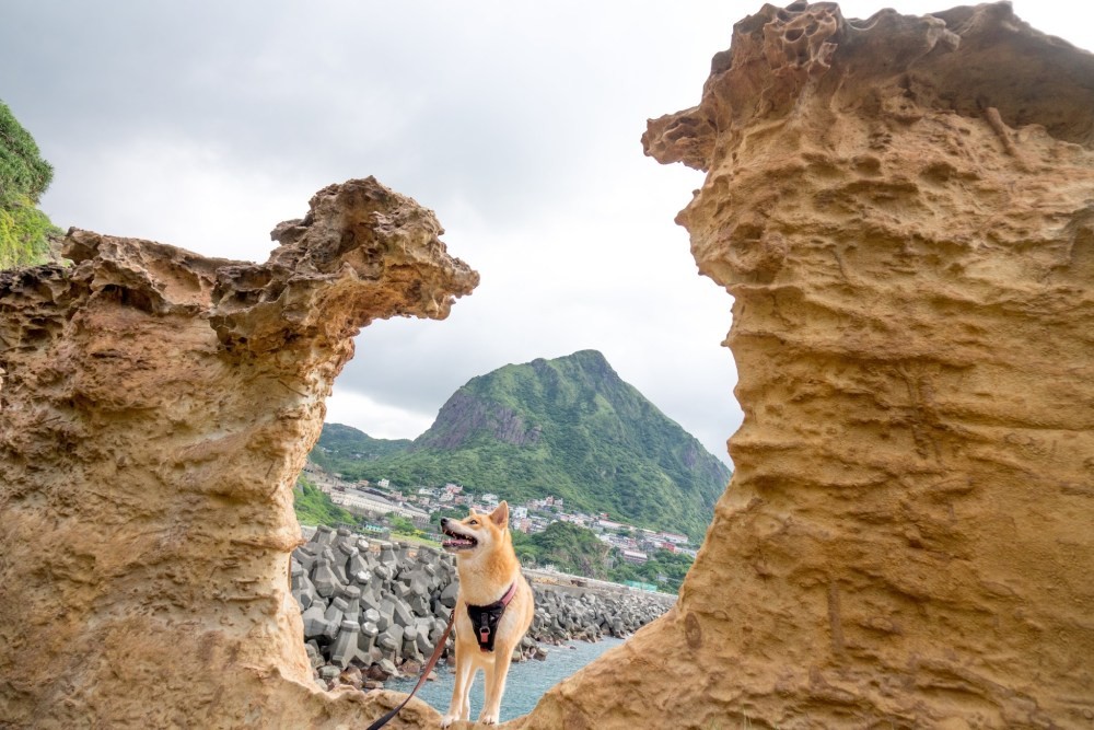 東北角的海蝕岩景點 大野狼與小綿羊 輪廓超級像 Ettoday旅遊雲 Ettoday新聞雲
