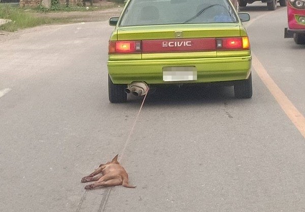 ▲開車拖狗「整路狂翻」還加速！　大媽被肉搜辯：狗死了有細菌。（圖／翻攝自Facebook／ข่าวชาวบ้าน - Thai TV Social）