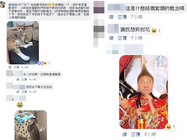 ▲▼出去你就完了人類！喵皇被裝袋「絲襪套頭」臉超醜　網笑翻：快救駕。（圖／唐悅慈授權提供）