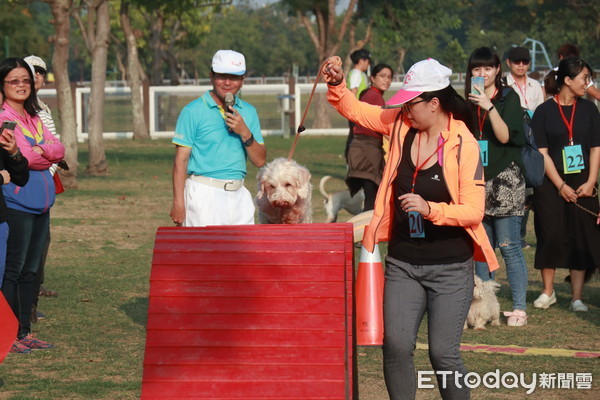 ▲台南市動物防疫保護處舉辦「2018 RUNNING DOG！」寵物運動趴，主與毛孩盡情地享受運動樂趣，並參加闖關、變裝等競賽。（圖／動保處提供，下同）